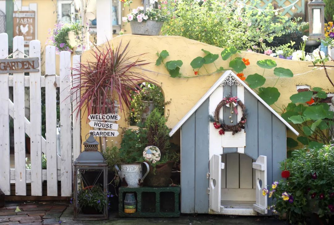 一个重度搪瓷爱好者的杂货花园