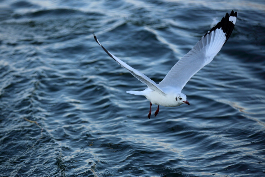 一个人带小孩真的很累,妈妈们看完这些也许你就治愈了