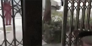 吵架这件事情才是最影响婚姻,从吵架中看婚姻走向