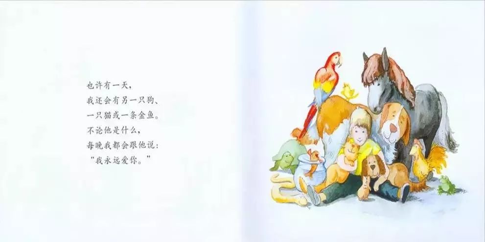 绘本我永远爱你文字内容,绘本我永远爱你视频
