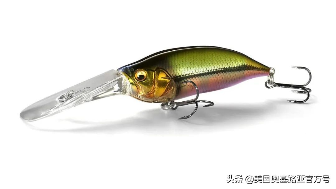 2024全国渔具展会一览表最新,2022年全国渔具展在哪