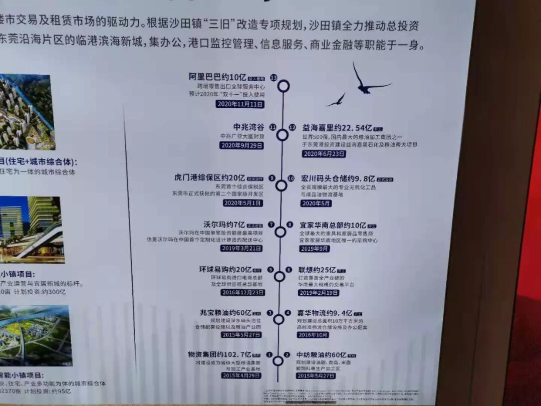 沙田韭菜聚集地，最像投资盘的投资盘