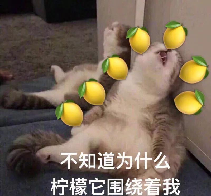 酸了..五阿哥微信新表情你有吗？热词“柠檬精”用英语怎么说？