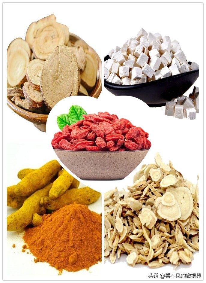 无抗养殖//益生菌发酵中药用在猪牛羊鸡养殖生产中有哪些优势？