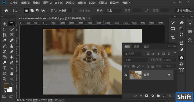 photoshop快捷键大全,photoshop设置快捷键大全