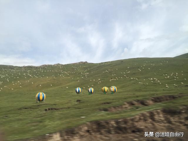 7月的青海湖自驾风景,青海湖大环线旅游攻略青海