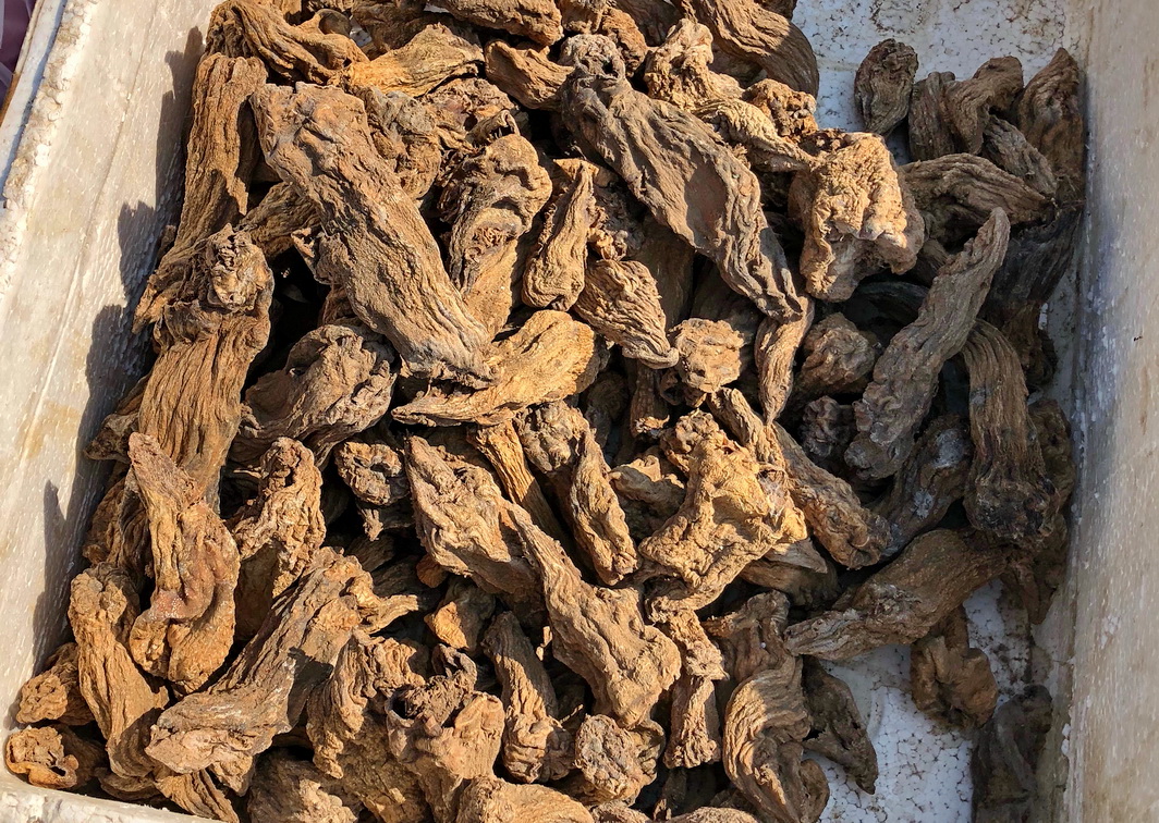 阜新各乡镇集市,阜新地方特色集市