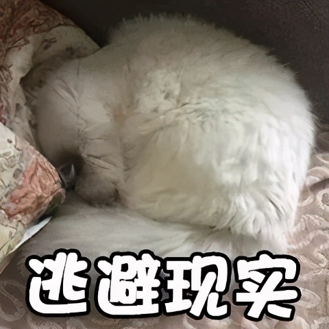 纹身减少疼痛最好的方法,纹身过程中怎么样能缓解疼痛