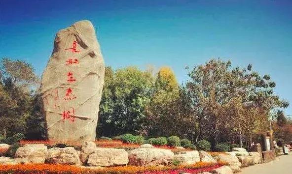 天津的王顶堤在什么位置,天津王顶堤生活感受