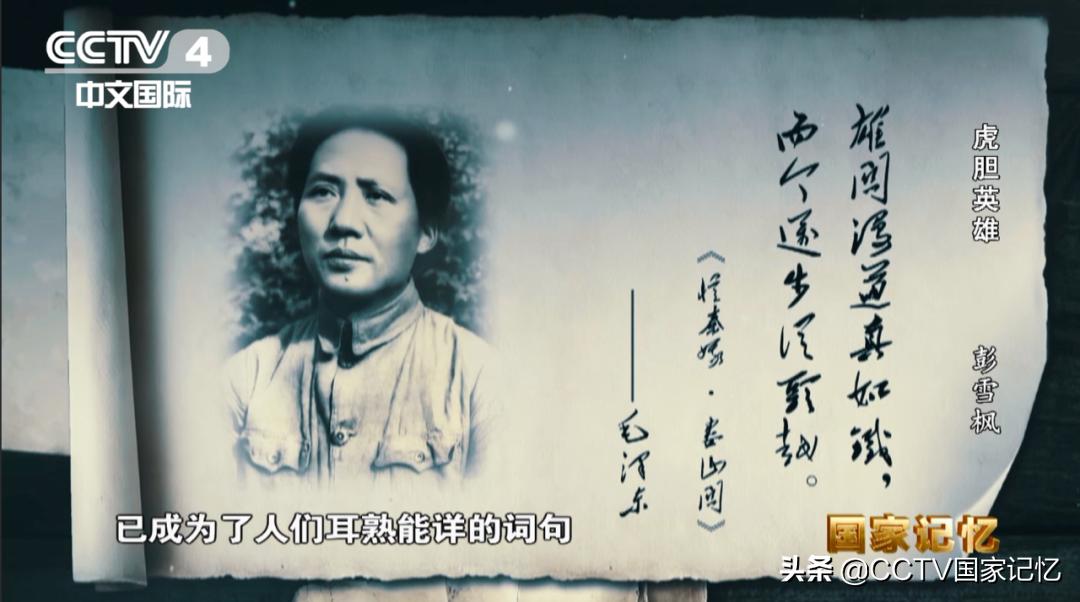 英雄虎胆大结局完整版,虎胆英雄大结局是什么