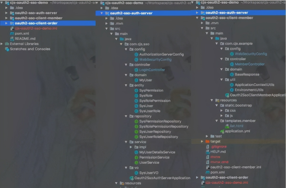 单点登录(SSO),一看就会,一做就错