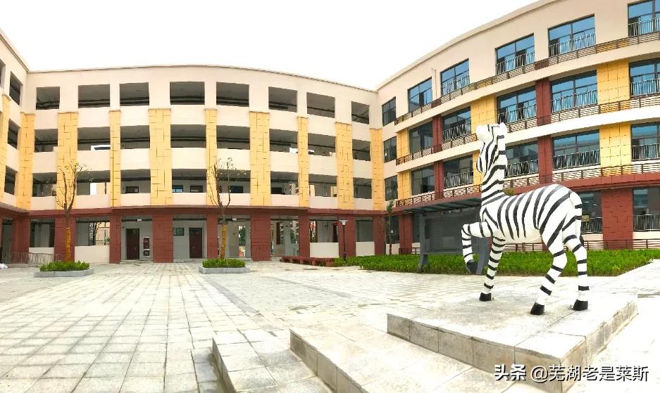 实地探访！芜湖新学校环境、师资大曝光