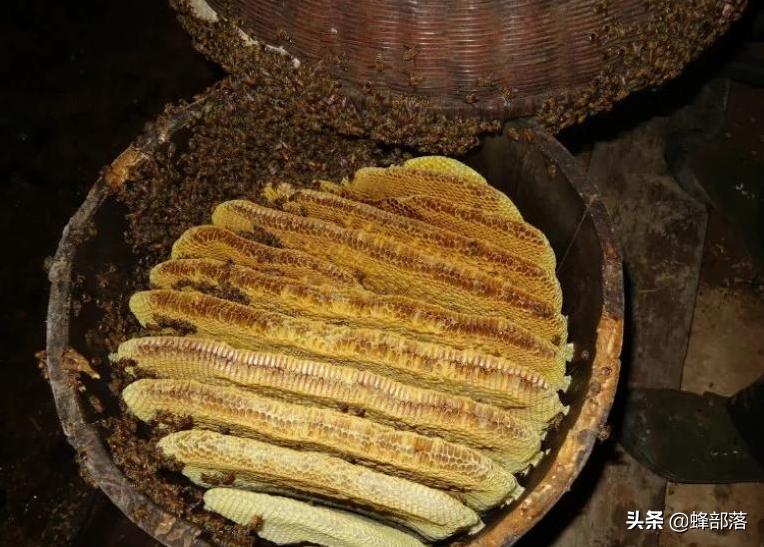 3元一斤的蜂蜜,一斤蜂蜜50元