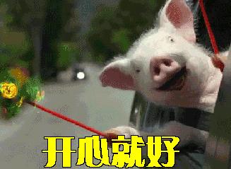 澳大利亚旅游抱考拉,麻麻游记视频大全