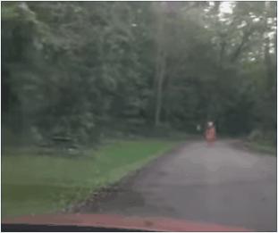 为什么有些人害怕小丑,为什么有些人怕小丑