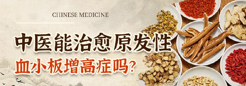 中医讲血小板增高是什么原因,原发性血小板低中医能不能治愈