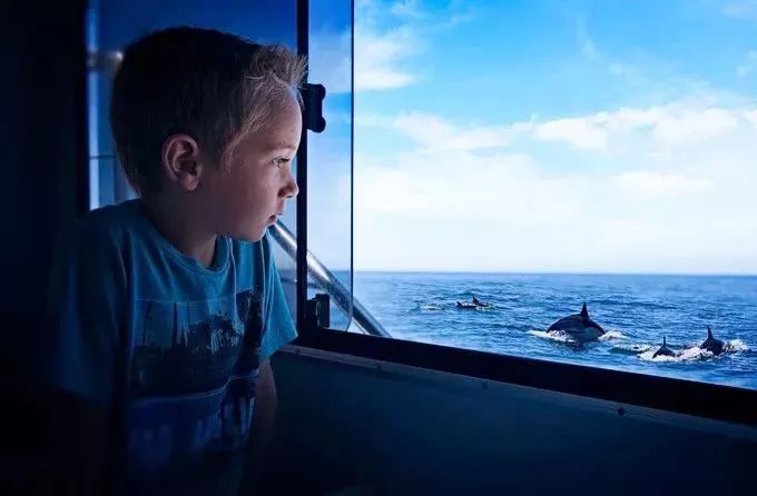 杜马盖地,杜马盖地如何