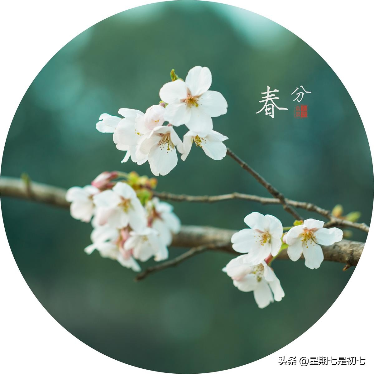 二十四节气老祖宗留下的智慧,老祖宗发明的二十四节气