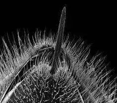 哭了！看完各大牌这些天价护肤品，用SK-II的你都算是勤俭持家