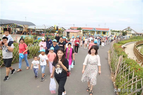 在青岛高新区工作,是一种啥样滴感觉?