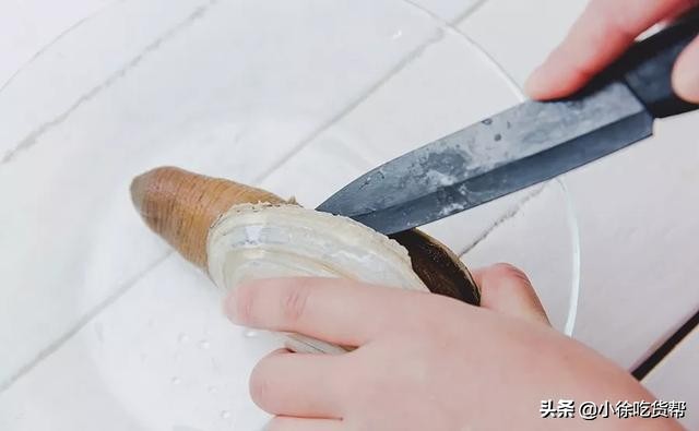 象拔蚌刺身教学,象拔蚌刺身摆盘