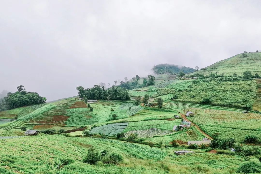 清迈的现状,清迈重逢