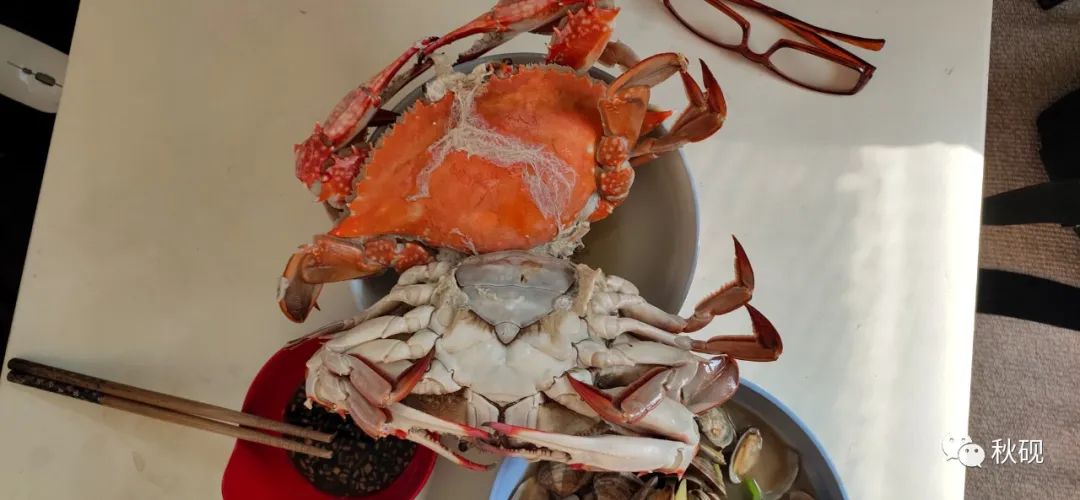 北戴河房车自驾游攻略,南戴河房车自驾游