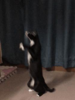 苹果手机怎么修图滤镜,滤镜修图