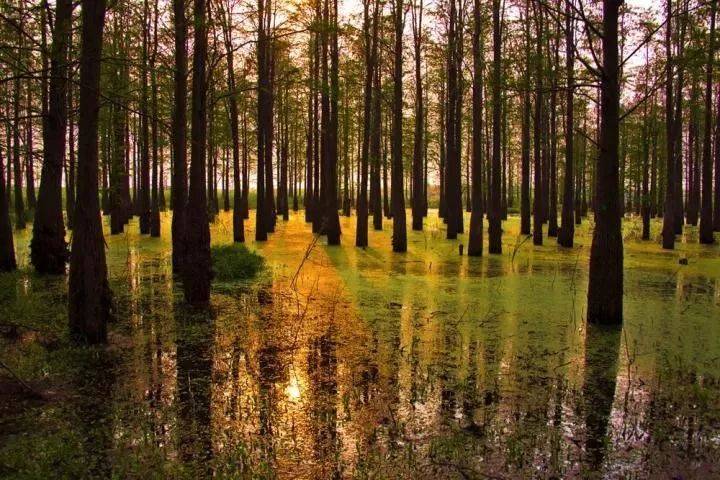 清远森波拉温泉晚餐,清远森波拉温泉度假村酒店报价