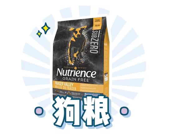 萌新应该养什么便宜宠物狗,萌新怎么入门宠物技能