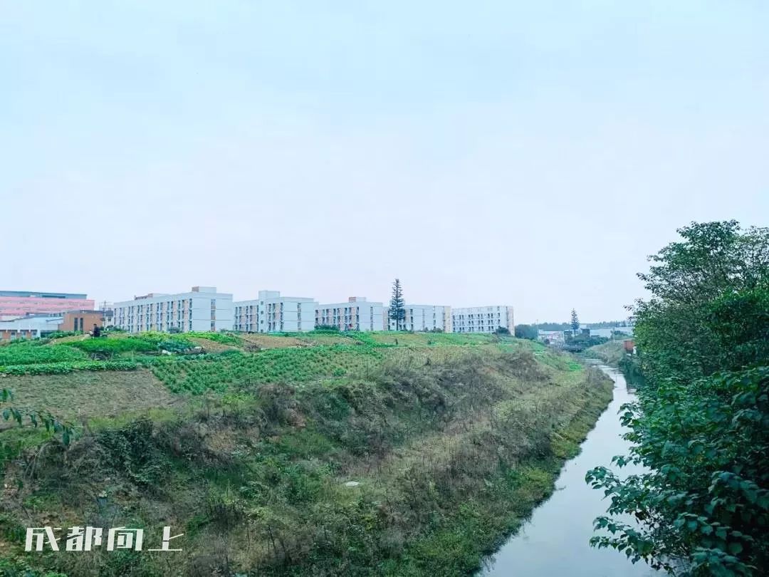 大运村建设火热朝天，成都大学已经上天