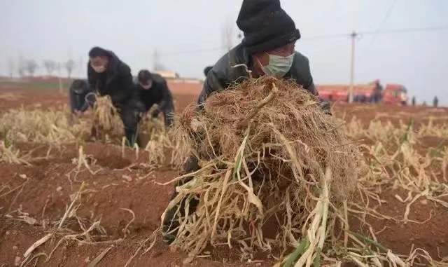 疫情面前，请看看他们......