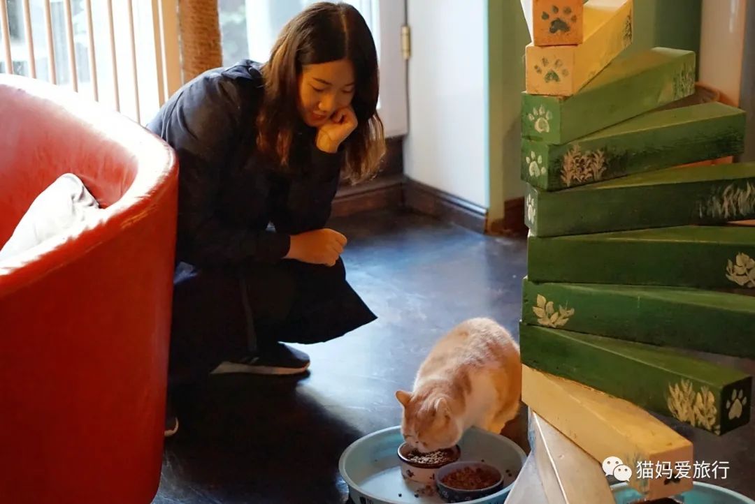 天津攻略特色介绍,天津攻略吃喝玩