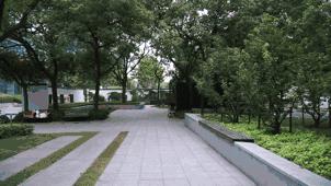 weebill2稳定器怎么样,weebill稳定器手机