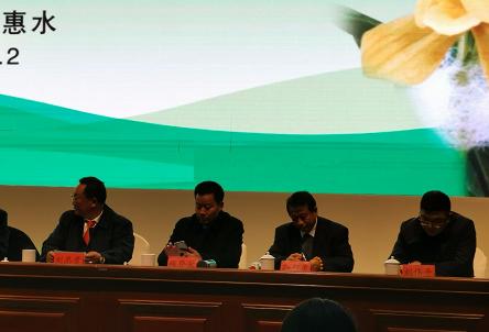 惠水第29届兰博会兰花获奖图片,惠水国际兰花展