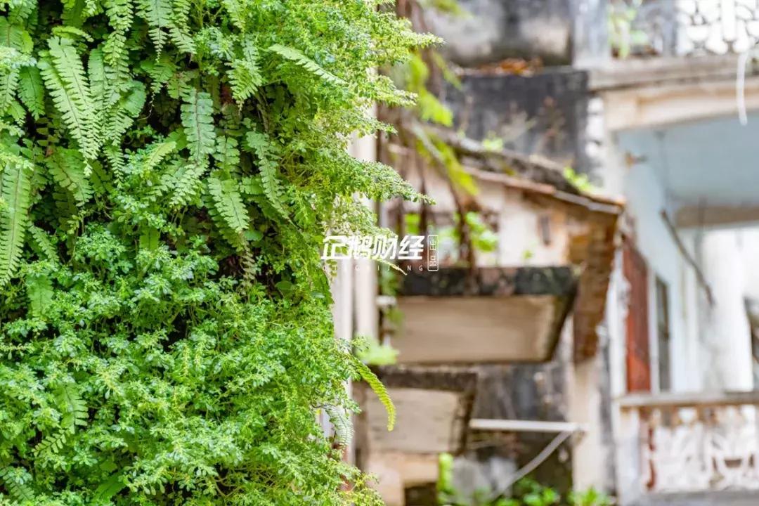 惠阳老街,城市记忆惠州