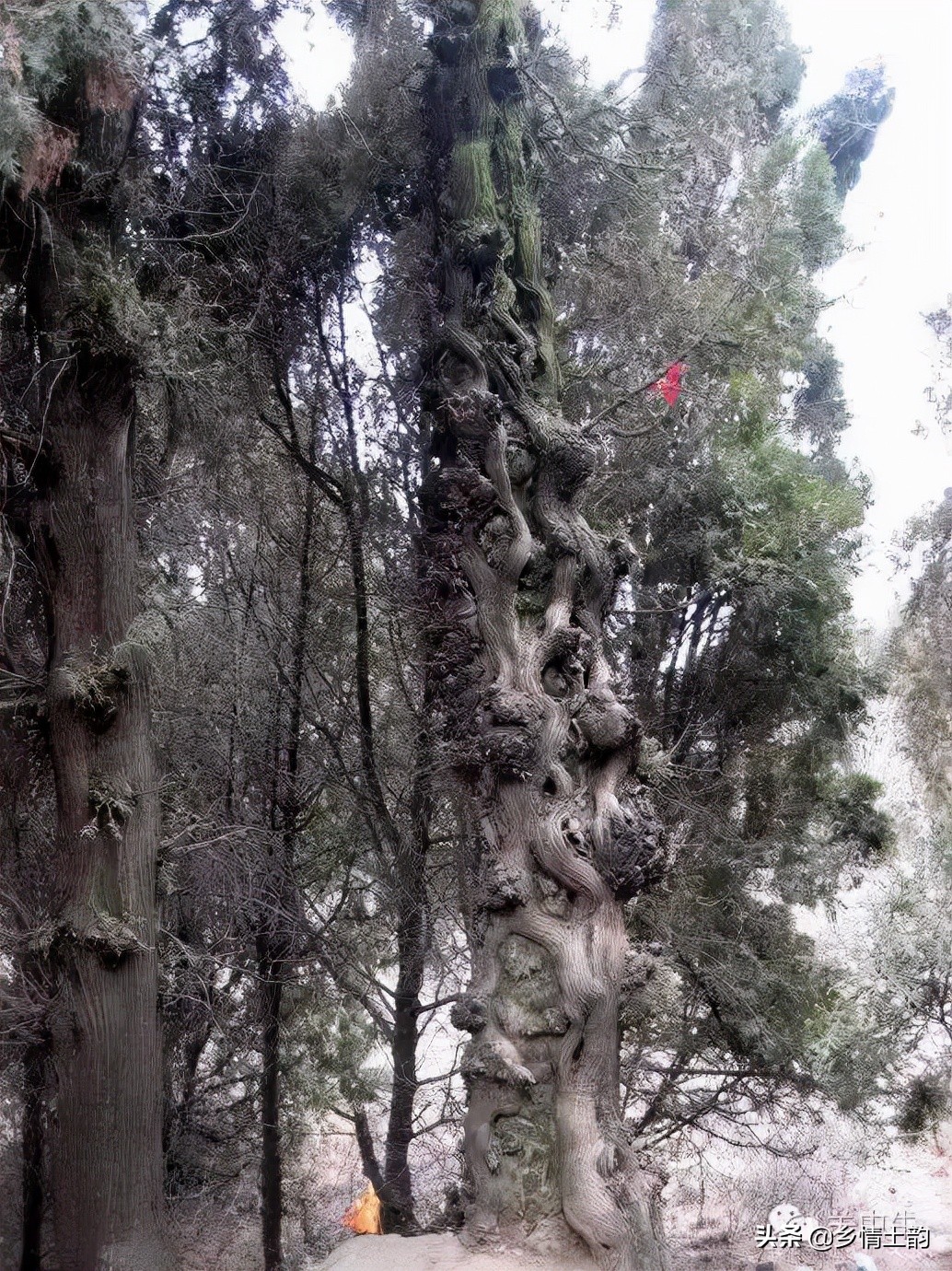 陕北吴堡牛家山,丹山牛家山