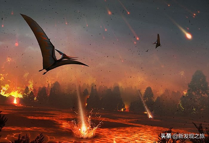 地球第六次生物大灭绝会怎么样,地球曾出现过几次物种大灭亡