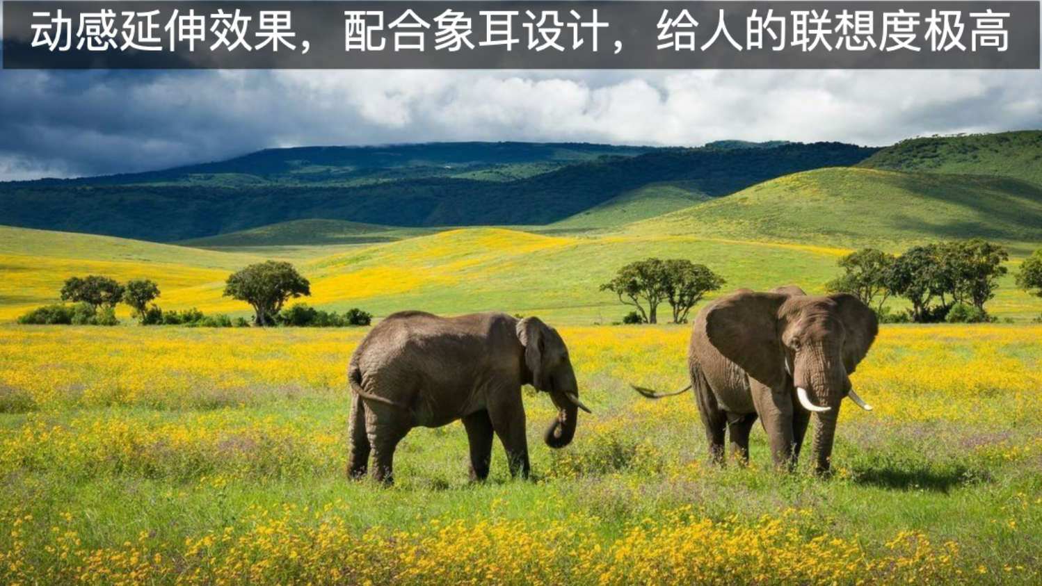 慕思凯奇床有用吗,慕思凯奇床价格表