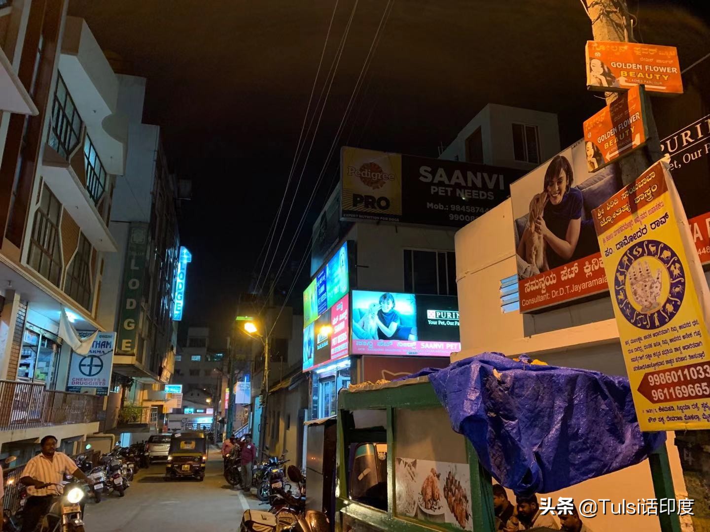 印度猫粮市场 (印度猫粮批发市场)