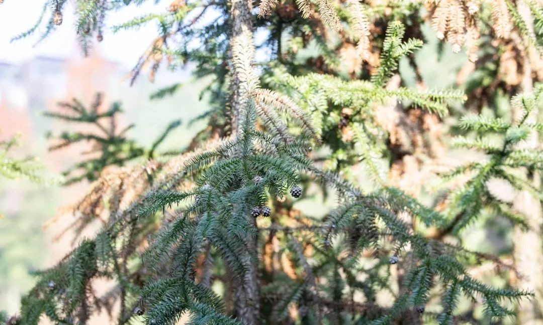 莫干山裸心谷,莫干山裸心谷住宿