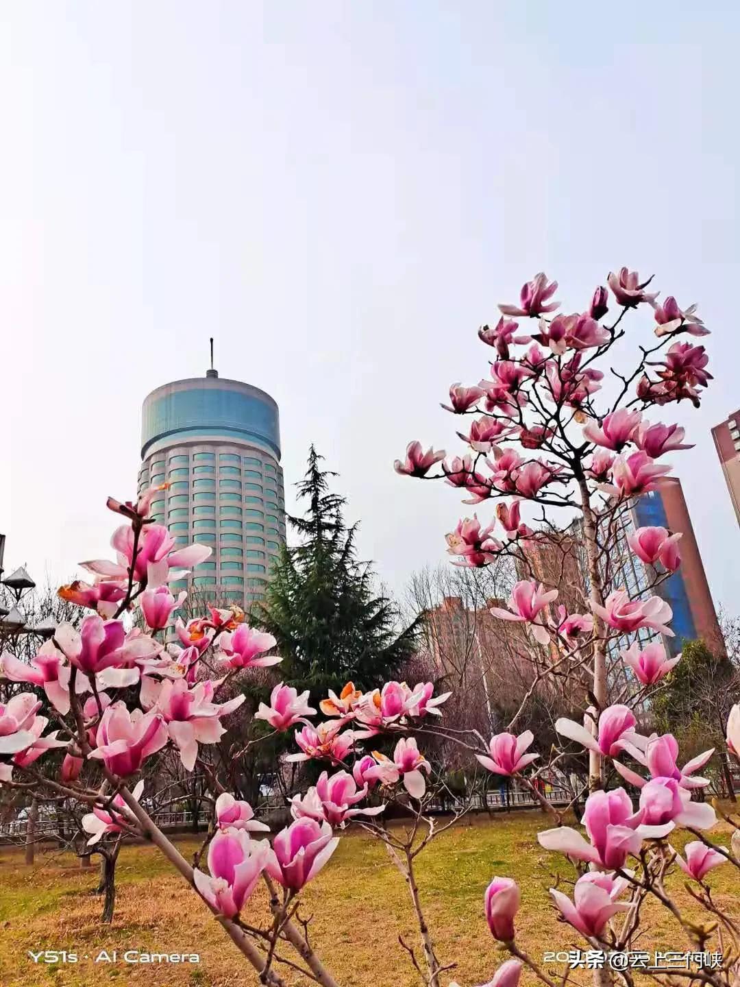 灵宝市中国县排名,灵宝最有品质的地方