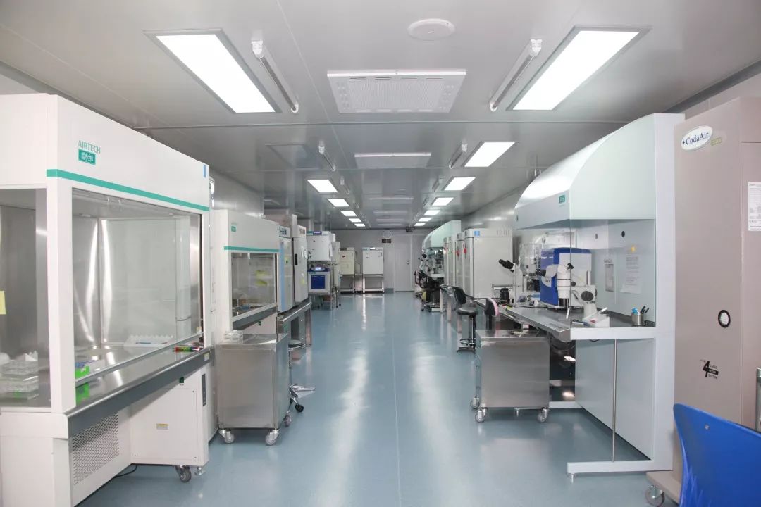 “宝贝，妈妈历经艰辛只为遇见你！”揭秘试管婴儿培育全过程