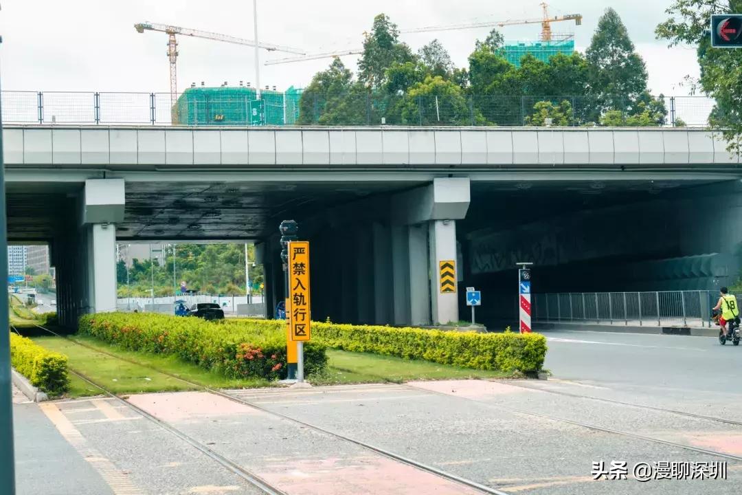 行走深圳歌曲,深圳观澜攻略