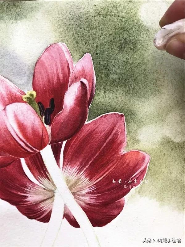 怎么用水彩笔画郁金香教程,粉色水彩郁金香怎么画图片