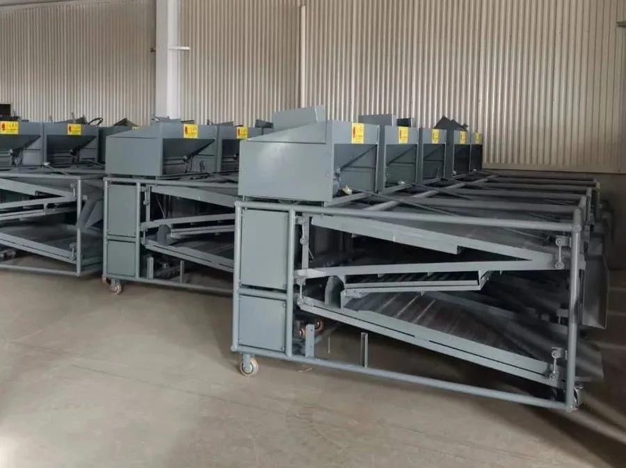 花椒种植加工,花椒的种植技术和种植前景