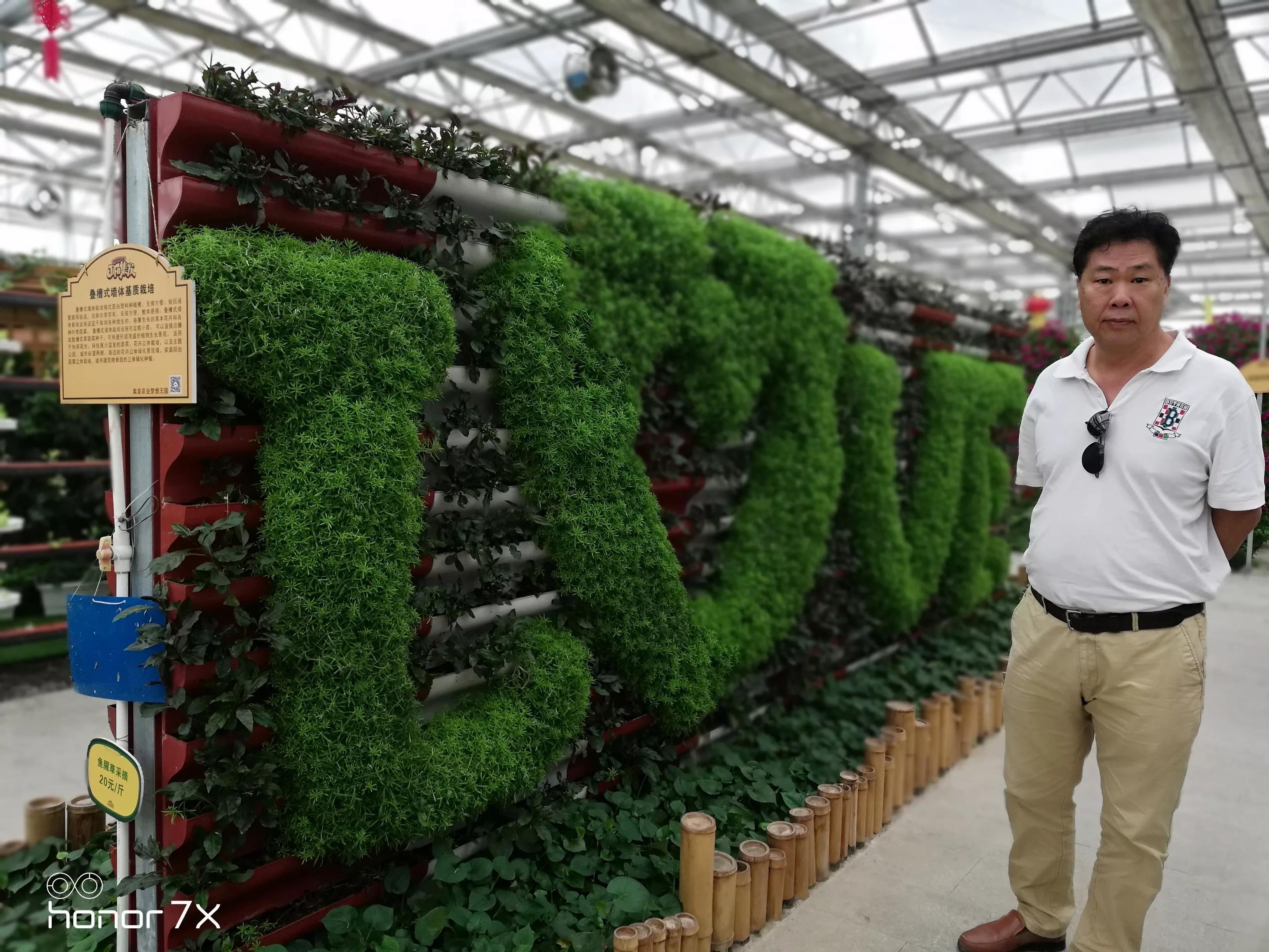 秦皇岛最大农业梦想王国,秦皇岛农业梦想王国图