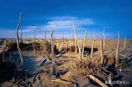 新疆若羌县祁曼塔格乡有多大,最大的县城若羌县