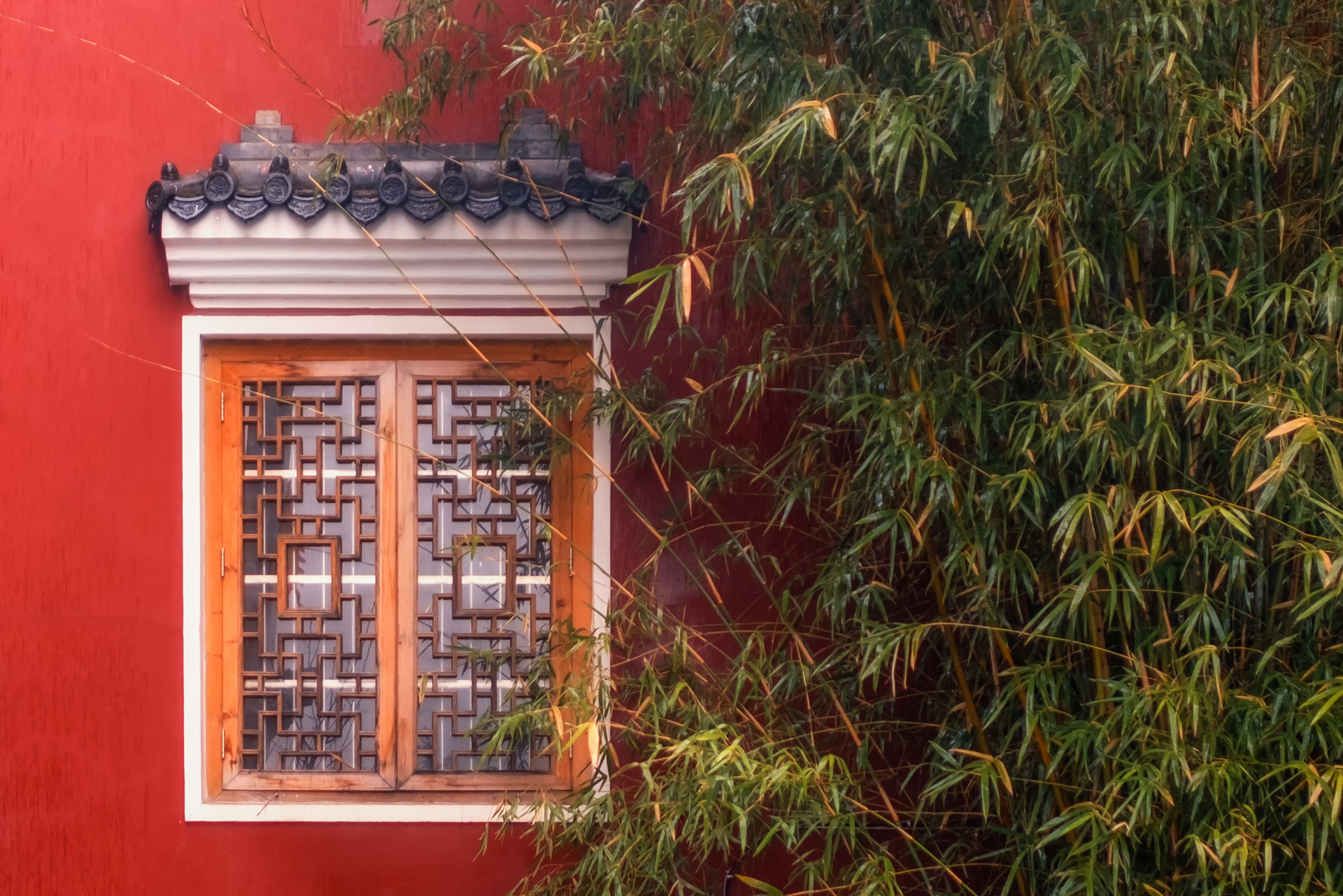 花园风水布局禁忌图解大全,花园忌讳什么植物