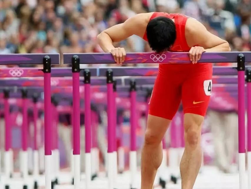 评价刘翔被骂的事件,外媒评价刘翔被骂